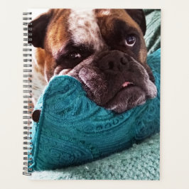 Victoriaans Bulldog Photo 8x11 Notitieboek