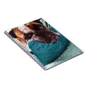 Victoriaans Bulldog Photo 9x6 Notitieboek (Rechterzijde)