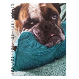 Victoriaans Bulldog Photo 9x6 Notitieboek