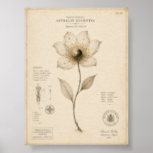 Victoriaans Celestiaal Botanisch Museumdruk