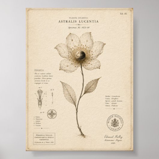 Victoriaans Celestiaal Botanisch Museumdruk Poster (Voorkant)
