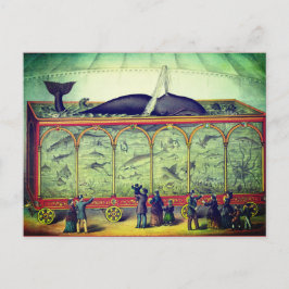 Victoriaans circus tentoonstelling briefkaart
