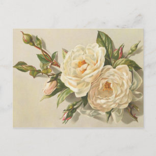 Victoriaans  Creamy White Roses Bouquet Briefkaart