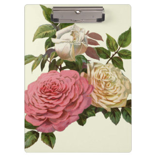 Victoriaans crème en roze rozen klembord