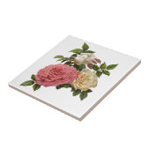 Victoriaans crème en roze rozen tegeltje (Zijkant)