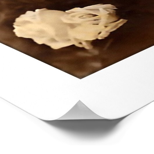 Victoriaans dame, lang haarprofiel poster (Hoek)