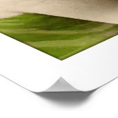 Victoriaans dame, lange haren poster (Hoek)