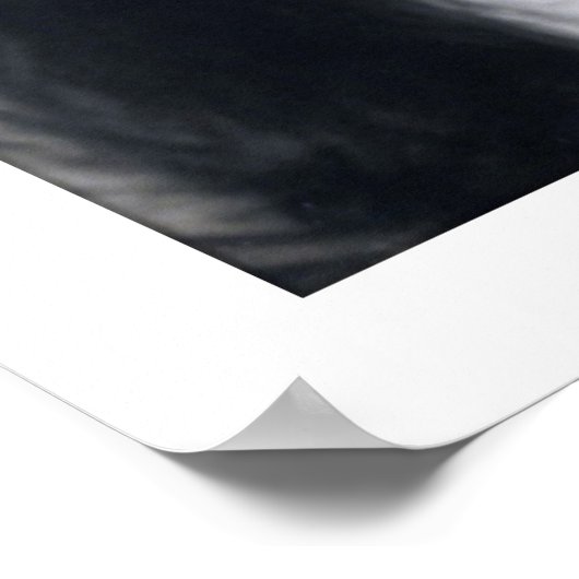 Victoriaans dame zwart-wit, lang haar poster (Hoek)