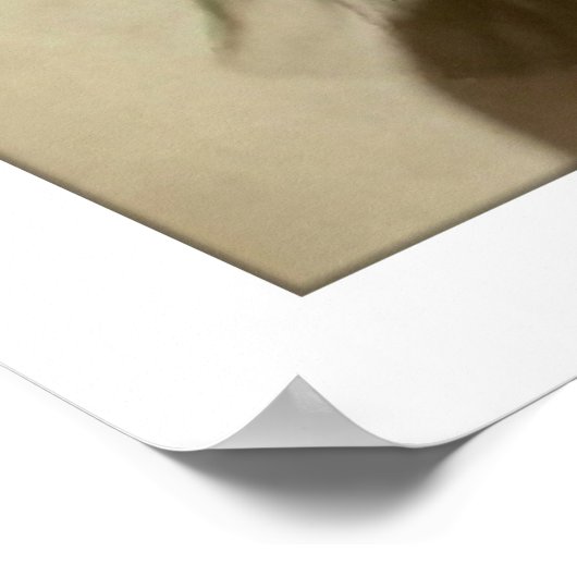 Victoriaans damestnet hoge kraag poster (Hoek)