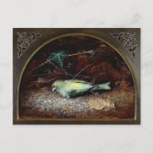  Victoriaans Dead Bird Briefkaart (Voorkant)