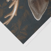 Victoriaans Deer Portrait Decoupage Tissuepapier (Detail)