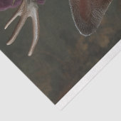 Victoriaans Deer Portrait Decoupage Tissuepapier (Detail)