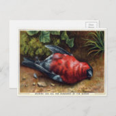  Victoriaans Dodelijke Kerstmis Briefkaart (Voorkant / Achterkant)