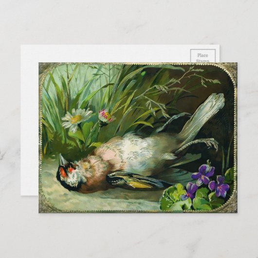  Victoriaans Dodelijke Kerstmis Briefkaart (Voorkant / Achterkant)