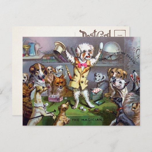 Victoriaans Dog Magician Briefkaart (Voorkant / Achterkant)