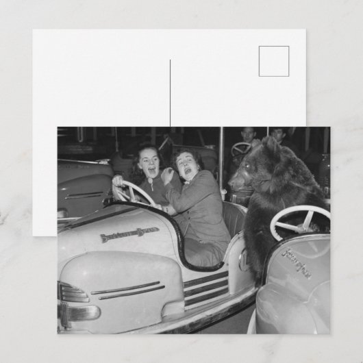 Victoriaans drift een Beer die de auto's drijft Briefkaart (Voorkant / Achterkant)