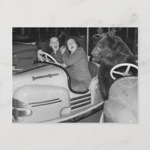 Victoriaans drift een Beer die de auto's drijft Briefkaart