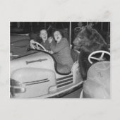 Victoriaans drift een Beer die de auto's drijft Briefkaart (Voorkant)