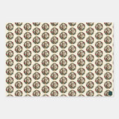 Victoriaans eekhoorns inpakpapier 3 vellen set (Voorkant 2)