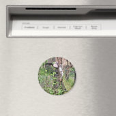 VICTORIAANS ENGLAND MAGNEET (Insitu (Vaatwasser))