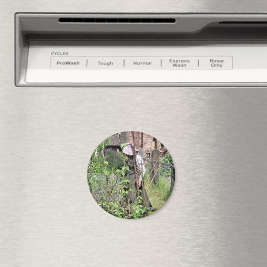 VICTORIAANS ENGLAND MAGNEET (Insitu (Vaatwasser))