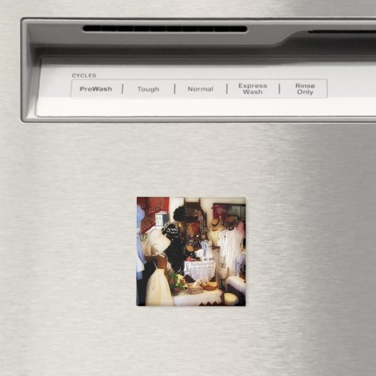 VICTORIAANS ENGLAND MAGNEET (Insitu (Vaatwasser))