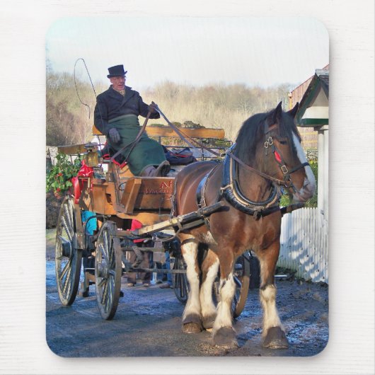 VICTORIAANS ENGLAND MUISMAT (Voorkant)