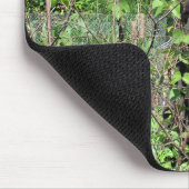 VICTORIAANS ENGLAND MUISMAT (Hoek)