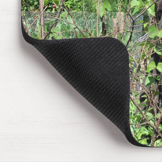 VICTORIAANS ENGLAND MUISMAT (Hoek)