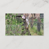 VICTORIAANS ENGLAND VISITEKAARTJE (Achterkant)