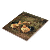 Victoriaans Era Baby Kippen Tegeltje (Zijkant)