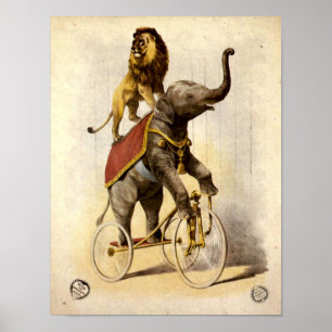 Victoriaans Era Circus Lion & Elephant op Tricycle Poster