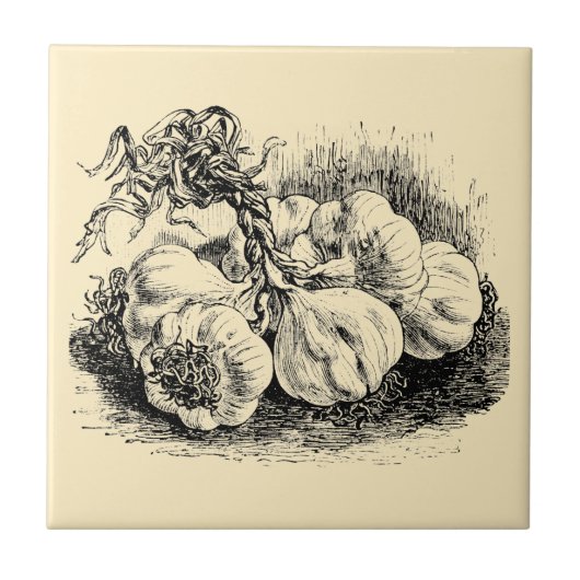  Victoriaans Era Fruit & Vegetable Garlic Ad Tegeltje (Voorkant)