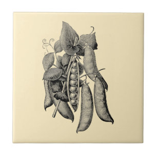 Victoriaans Era Fruit & Vegetable Peas Ad Tegeltje