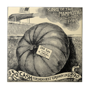 Victoriaans Era Fruit & Vegetable Pumpkin Ad Tegeltje