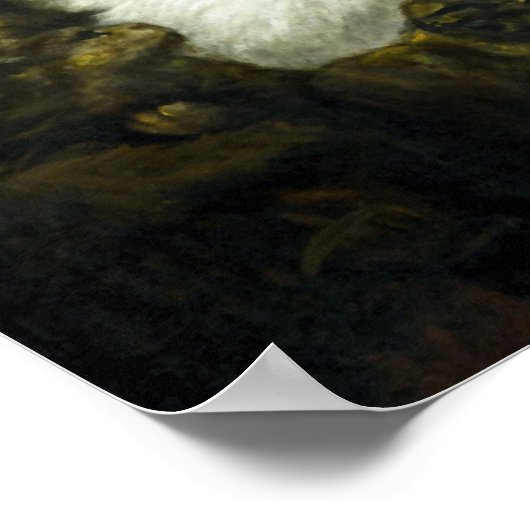  Victoriaans Era Katten Poster (Hoek)