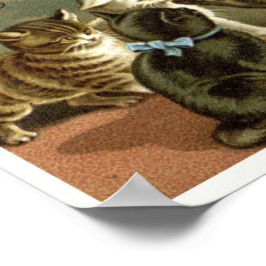  Victoriaans Era Kittens ad Poster (Hoek)