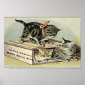  Victoriaans Era Kittens Soap Ad Poster (Voorkant)