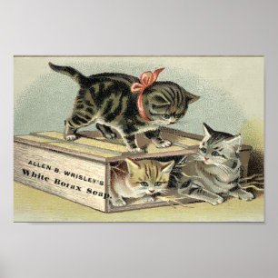  Victoriaans Era Kittens Soap Ad Poster