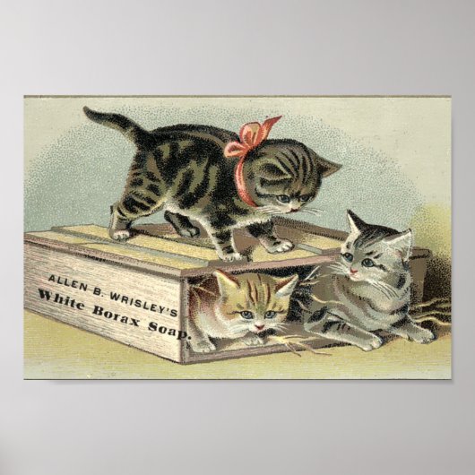 Victoriaans Era Kittens Soap Ad Poster (Voorkant)