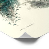 Victoriaans ERA Peacock Pavo Cristatus Art Poster (Hoek)