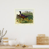  Victoriaans Era Pheasant Familie Poster (Keuken)