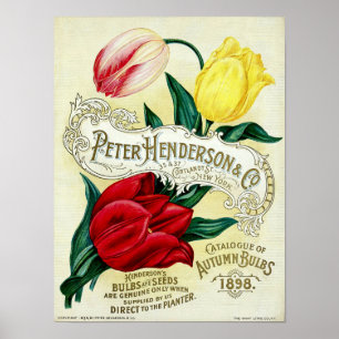 Victoriaans Era Seed Catalogus Hoesje Kunst Poster