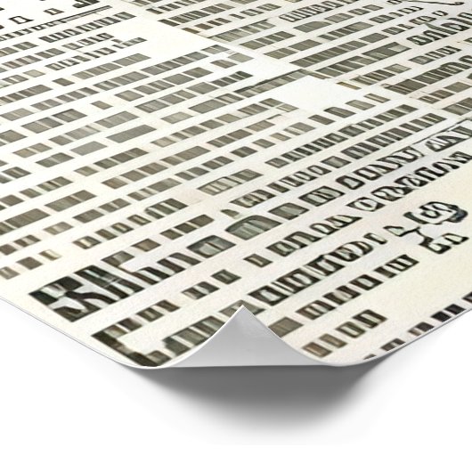 Victoriaans Era  Vrouw met Roze Bloemen Poster (Hoek)