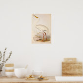 Victoriaans Era White Crane Poster (Keuken)