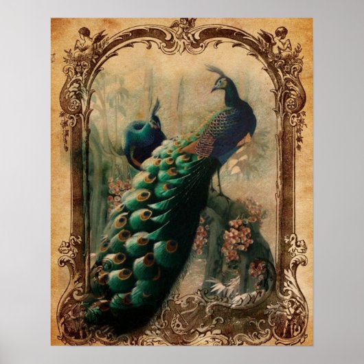 Victoriaans  florale parisiaanse pauw poster (Voorkant)