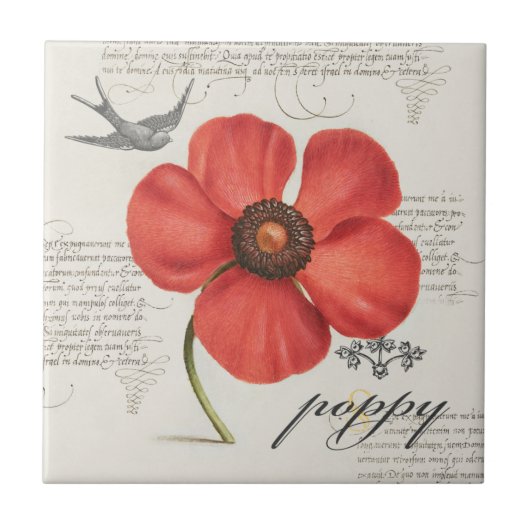 Victoriaans-geïnspireerd 🌸  rode papaver tegeltje (Voorkant)