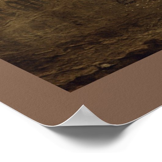 Victoriaans Ghost Lady-in-Waiting Poster (Hoek)