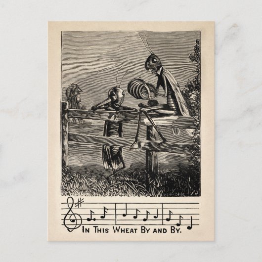 Victoriaans Grasshopper Song Briefkaart (Voorkant)