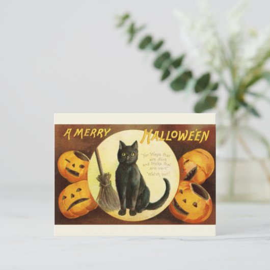  Victoriaans Halloween Black Cat en Pompoenen Briefkaart (Staand voorkant)